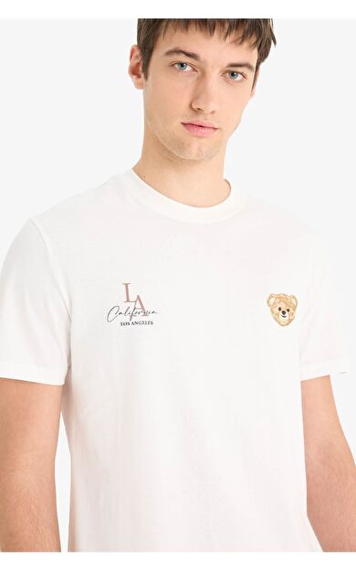 DeFacto %100 Pamuk Regular Fit Bisiklet Yaka Baskılı Kısa Kollu Tişört F4286AX25SMER105