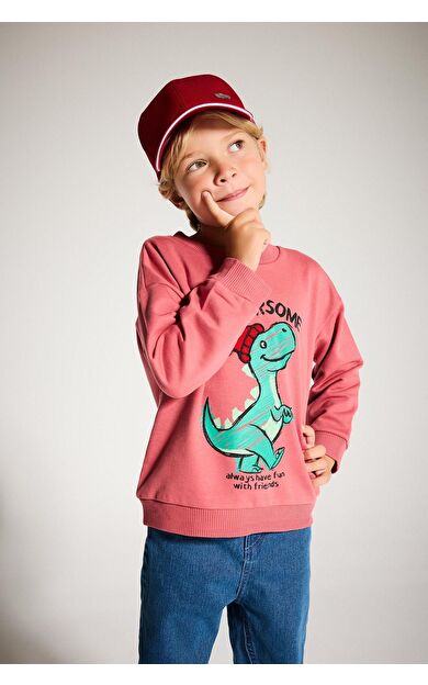 DeFacto Erkek Bebek Regular Fit Bisiklet Yaka Dinozor Baskılı İçi Yumuşak Tüylü İnce Sweatshirt Kumaşı Sweatshirt