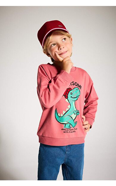DeFacto Erkek Bebek Regular Fit Bisiklet Yaka Dinozor Baskılı İçi Yumuşak Tüylü İnce Sweatshirt Kumaşı Sweatshirt