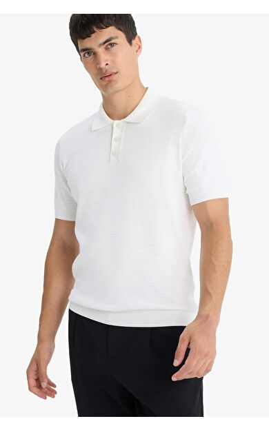 DeFacto Standart Fit Polo Yaka Triko Kısa Kollu Tişört