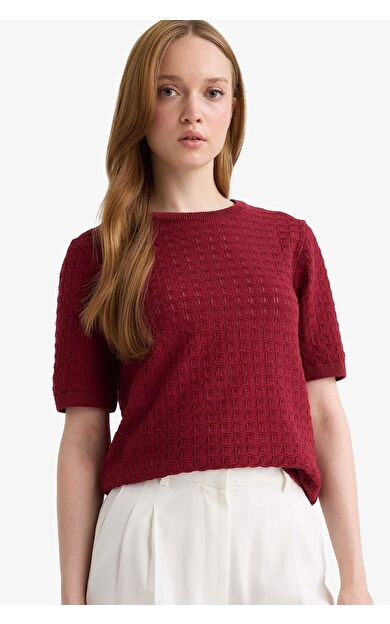 DeFacto Regular Fit Bisiklet Yaka Kısa Kollu Triko Kazak F4974AX25AUBR115