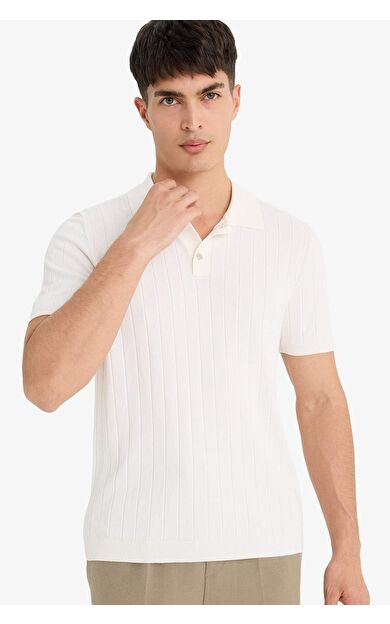 DeFacto Standart Fit Polo Yaka Kısa Kollu Triko Polo Tişört F6063AX25SMER140