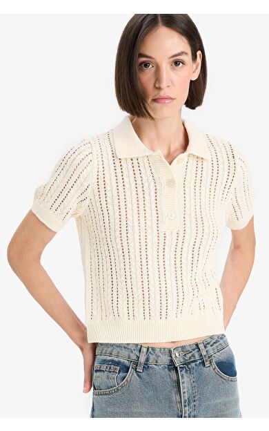 DeFacto Regular Fit Polo Yaka Ajurlu Triko Kazak