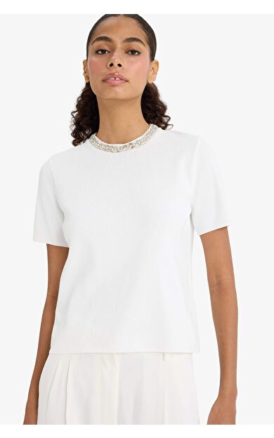 Regular Fit Bisiklet Yaka İşlemeli Krep Kısa Kollu Kazak