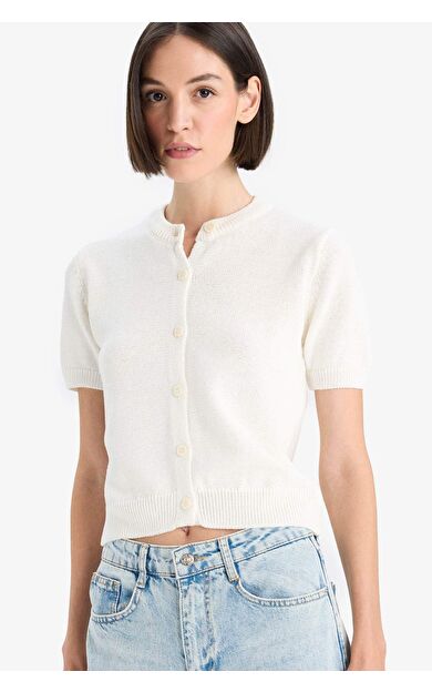 DeFacto Regular Fit Bisiklet Yaka Triko Hırka F8302AX25AUER105