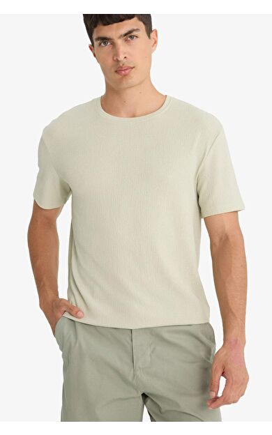 DeFacto Regular Fit Bisiklet Yaka Kısa Kollu Tişört F8480AX25AUBG796