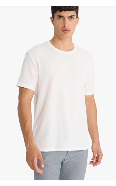 DeFacto Regular Fit Bisiklet Yaka Kısa Kollu Tişört F8480AX25AUWT32