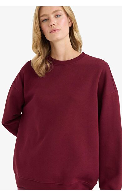 Oversize Geniş Kalıp Bisiklet Yaka Basic Düz Kalın Sweatshirt F9628AX25AUBR115