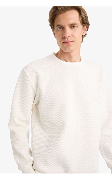 DeFacto Regular Fit Bisiklet Yaka Sweatshirt
