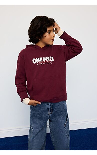 DeFacto Erkek Çocuk One Piece New Regular Fit Kapüşonlu İçi Yumuşak Tüylü Kalın Sweatshirt Kumaşı Sweatshirt