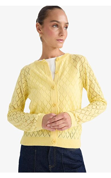 Regular Fit Bisiklet Yaka Ajurlu Düğmeli Triko Hırka G0191AX25AUYL83