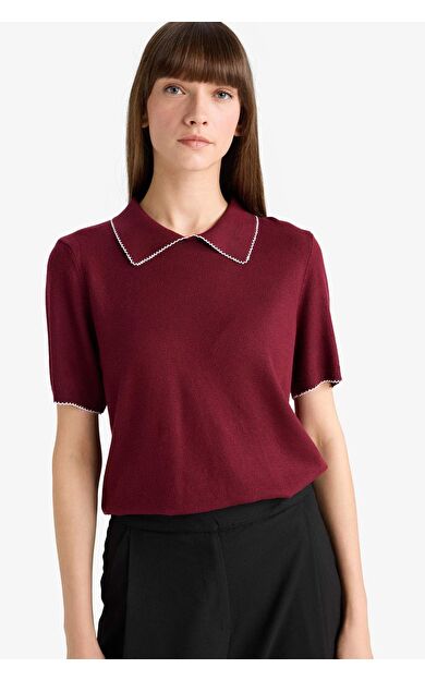 DeFacto Regular Fit Polo Yaka Triko Kazak
