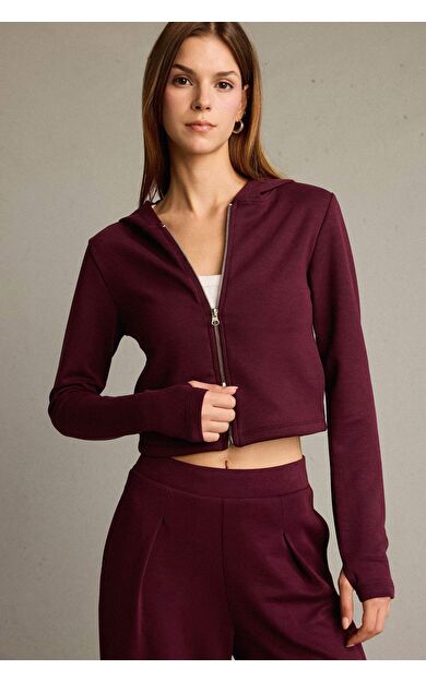 Kapüşonlu Modal Hırka G2956AX25AUBR115