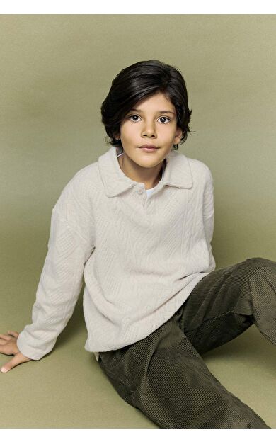 Erkek Çocuk Regular Fit Polo Yaka Sweatshirt