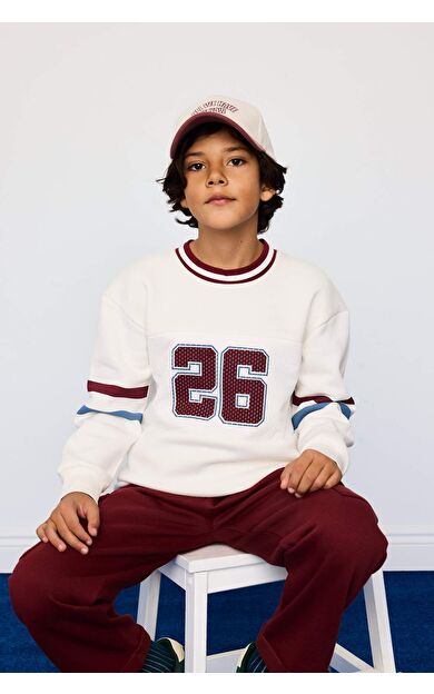 Erkek Çocuk Regular Fit V Yaka Sayı Desenli İçi Yumuşak Tüylü Kalın Sweatshirt Kumaşı Sweatshirt