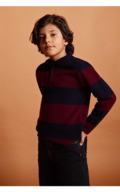 Erkek Çocuk Regular Fit Polo Yaka Kazak