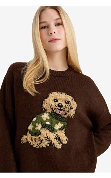 Regular Fit Bisiklet Yaka Kazak