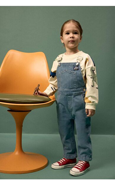 Regular Fıt Bisiklet Yaka Desenli Sweatshirt Kumaşı Sweatshirt Erkek Bebek