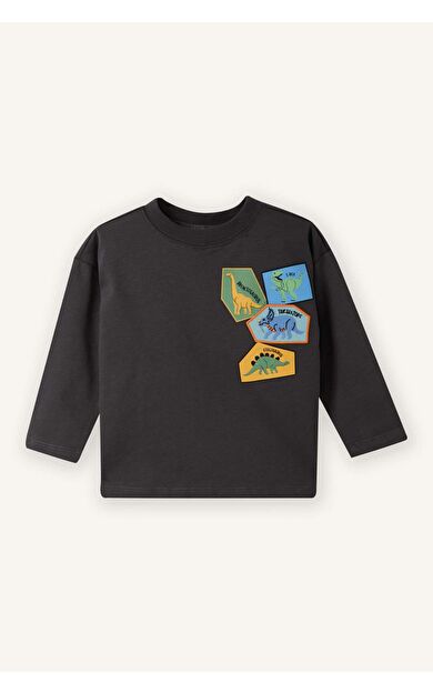 DeFacto Regular Fıt Bisiklet Yaka Baskılı Uzun Kollu Tişört Erkek Bebek