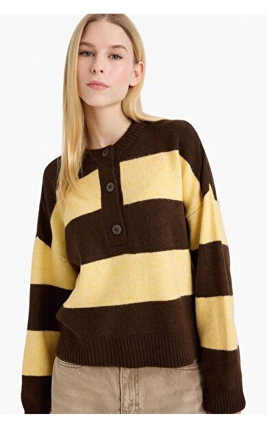 Regular Fit Bisiklet Yaka Renk Bloklu Düğmeli Triko Kazak