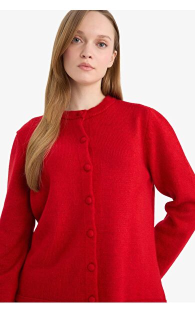 Regular Fit Bisiklet Yaka Triko Hırka