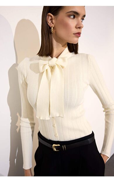 Fitted Fiyonk Yaka Triko Kazak