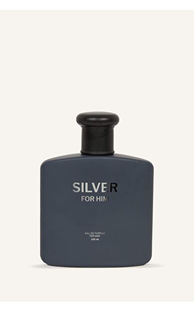 DeFacto Erkek Silver Amber 100 ml Parfüm