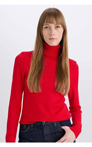 DeFactoFit Regular Fit Balıkçı Yaka Kazak H1651AZ24WNRD227