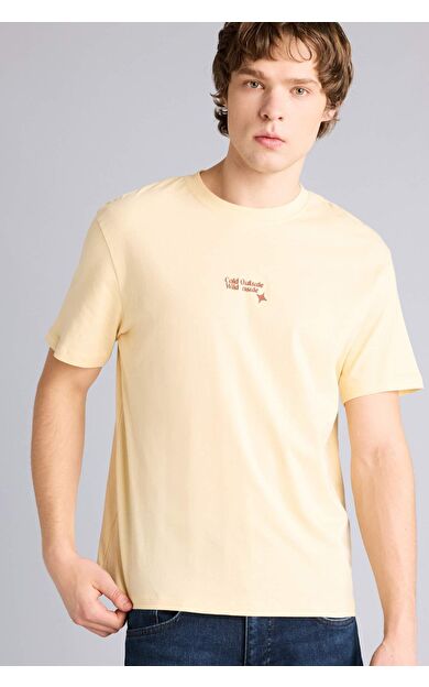 DeFacto Regular Fıt Baskılı Kısa Kollu Tişört