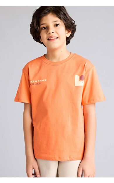 DeFacto Regular Fıt Bisiklet Yaka Baskılı Kısa Kollu Tişört Erkek Çocuk