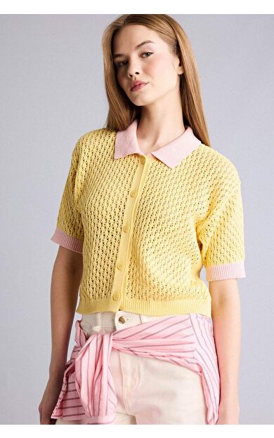 DeFacto Regular Fıt Polo Yaka Triko Kazak