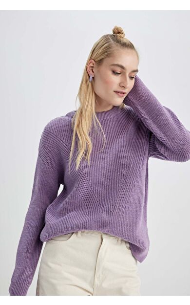 DeFacto Regular Fit Bisiklet Yaka Triko Kazak