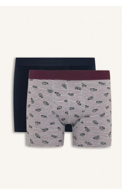 DeFacto Regular Fit Çizgili ve Desenli 2'li Boxer