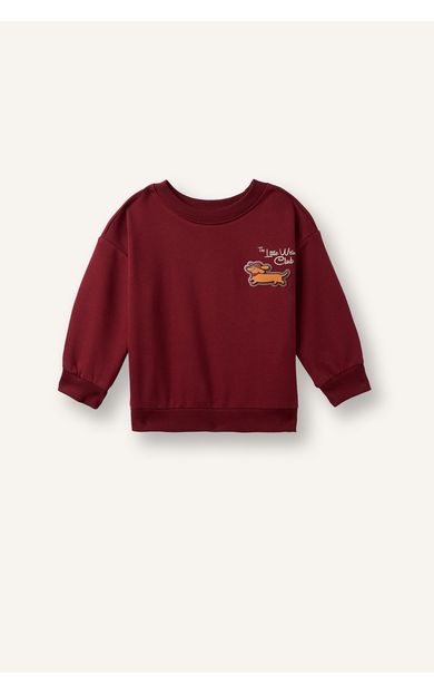 DeFacto Oversize Göğsü Hayvan Baskılı Bisiklet Yaka İçi Yumuşak Tüylü Sweatshirt Erkek Bebek