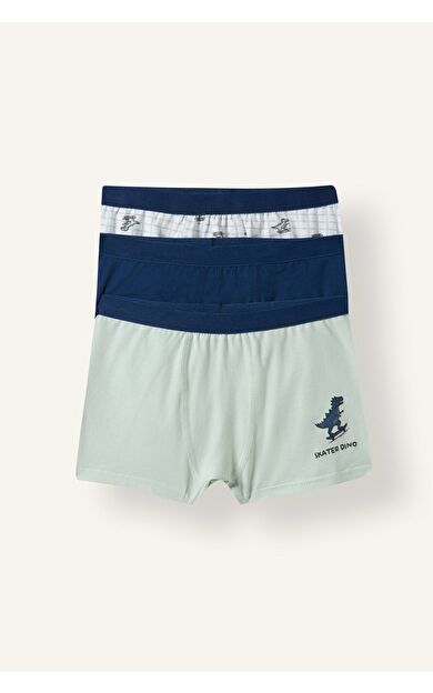 DeFacto Ayı Baskılı Penye 3'lü Boxer Erkek Çocuk