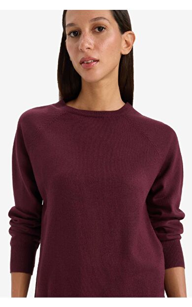 DeFacto Relax Fit Bisiklet Yaka Kazak I6913AZ25WNBR467