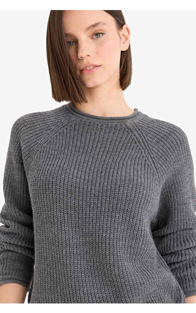 DeFacto Coool Regular Fit Bisiklet Yaka Kazak L2567AZ25WNAR61