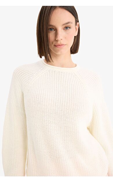 DeFacto Coool Regular Fit Bisiklet Yaka Triko Kazak L2567AZ25WNER98