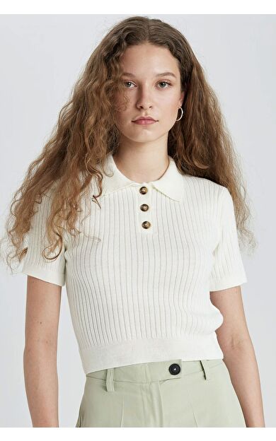 DeFacto Slim Fit Polo Yaka Kısa Kollu Triko Kazak N9752AZ24SPER103
