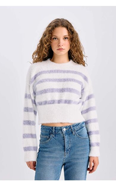 DeFacto Regular Fit Çizgili Bisiklet Yaka Triko Kazak R1285AZ24CWPR68