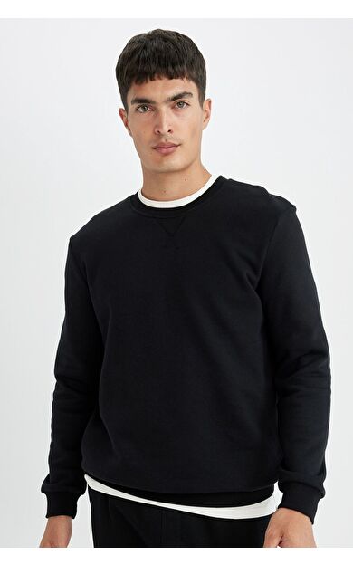 DeFacto Regular Fit Bisiklet Yaka Kalın Sweatshirt T3777AZ24AUBK81