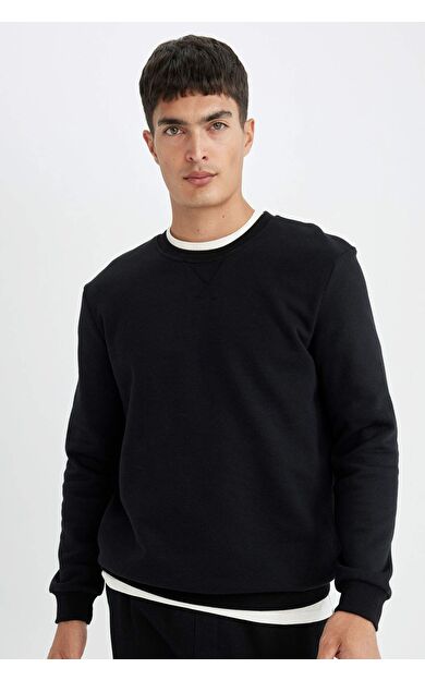 DeFacto Regular Fit Bisiklet Yaka Kalın Sweatshirt T3777AZ24AUBK81