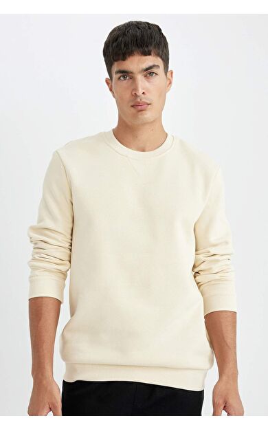 DeFacto DeFactoFit Regular Fit Bisiklet Yaka Kalın Sweatshirt T3777AZ24AUER109