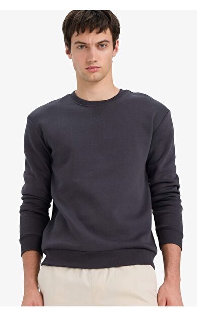 DeFacto Regular Fit Bisiklet Yaka Basic Düz Kalın Sweatshirt T3777AZ25AUAR138