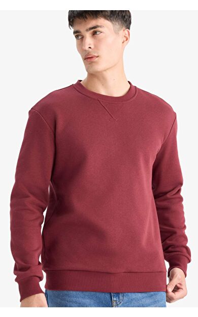 DeFacto Regular Fit Bisiklet Yaka Basic Düz Kalın Sweatshirt T3777AZ25AUBR194