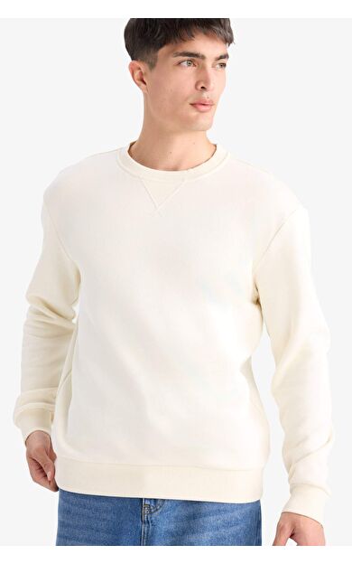 DeFacto Regular Fit Bisiklet Yaka Basic Düz Kalın Sweatshirt T3777AZ25AUER140