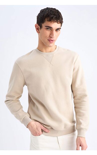 DeFacto Regular Fit Bisiklet Yaka Basic Düz Kalın Sweatshirt T3777AZ25SPBG735