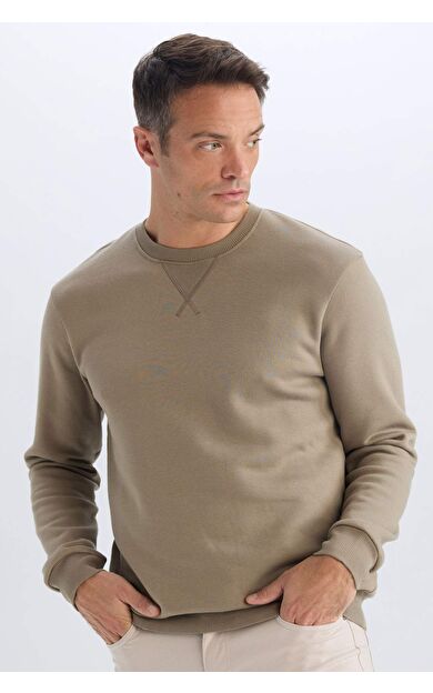 DeFacto Regular Fit Bisiklet Yaka Basic Düz Kalın Sweatshirt T3777AZ25SPKH500