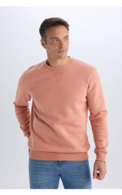 DeFacto Regular Fit Bisiklet Yaka Kalın Kumaş Sweatshirt T3777AZ25SPPN602