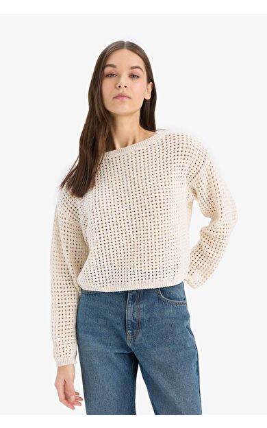 DeFacto Regular Fit Bisiklet Yaka Kroşe Triko Kazak T4513AZ25SPER223